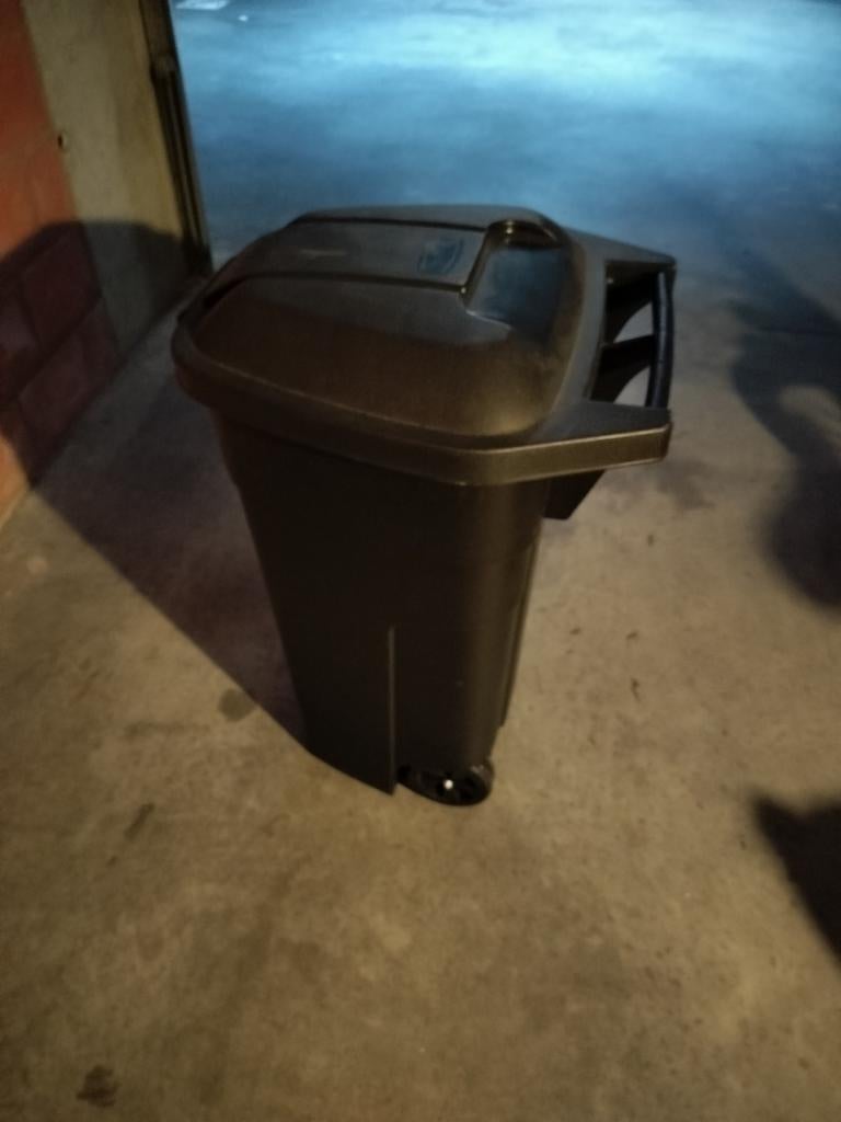 Vuilnisbak op wieltjes 110 L, Enlèvement