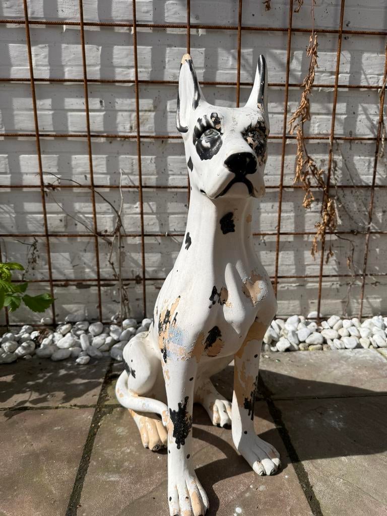Groot beeld van een Duitse Dog (Great Dane), Ophalen, Zo goed als nieuw