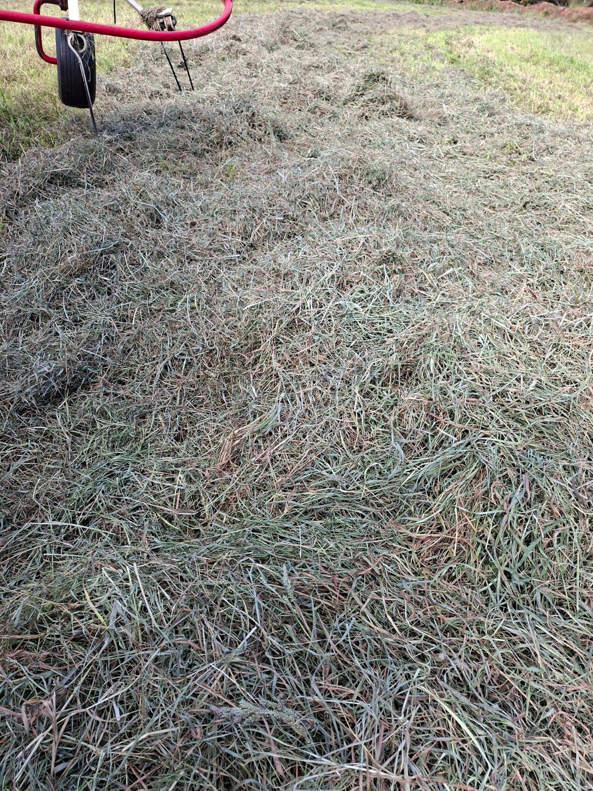 voordroog laatste snede zo goed als droog 28 pakken, Dieren en Toebehoren