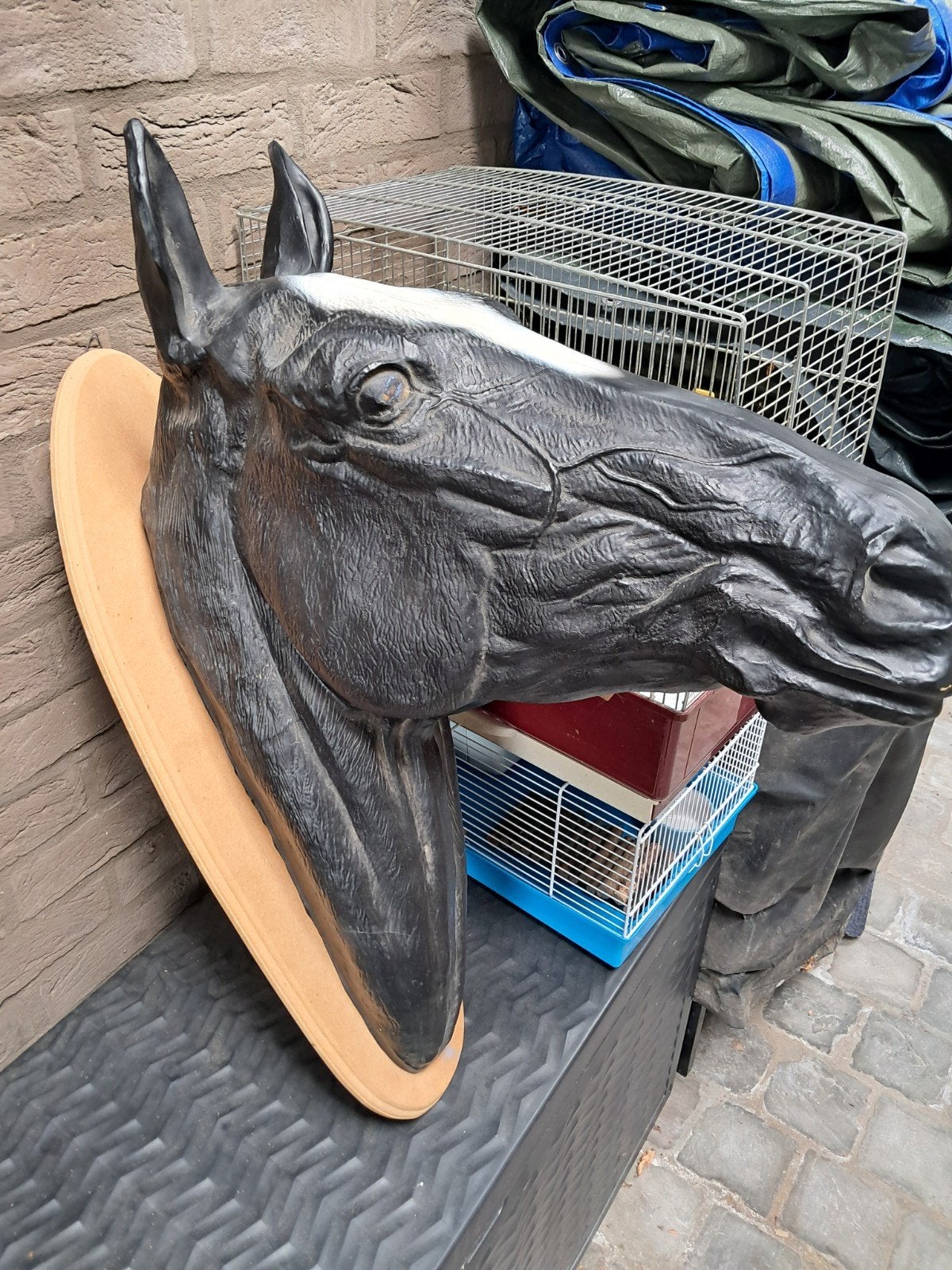 Mooi decoratieve paardenhoofd, Enlèvement