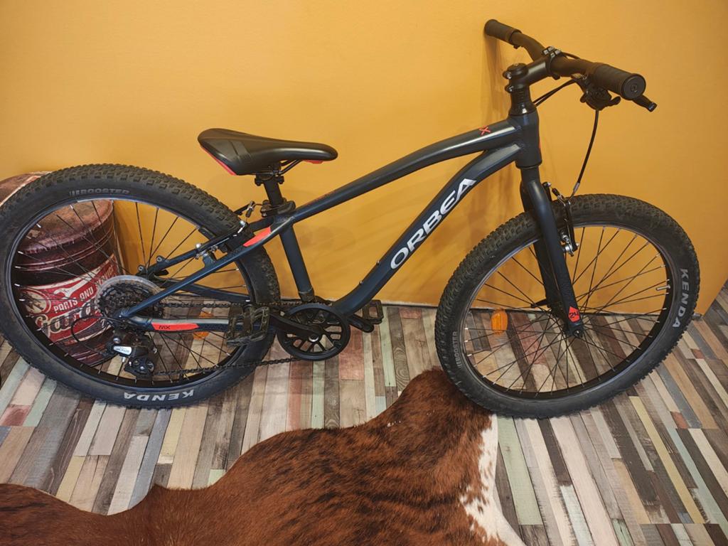 VTT Orbea mx 24 pouces, Vélos & Vélomoteurs, Enlèvement