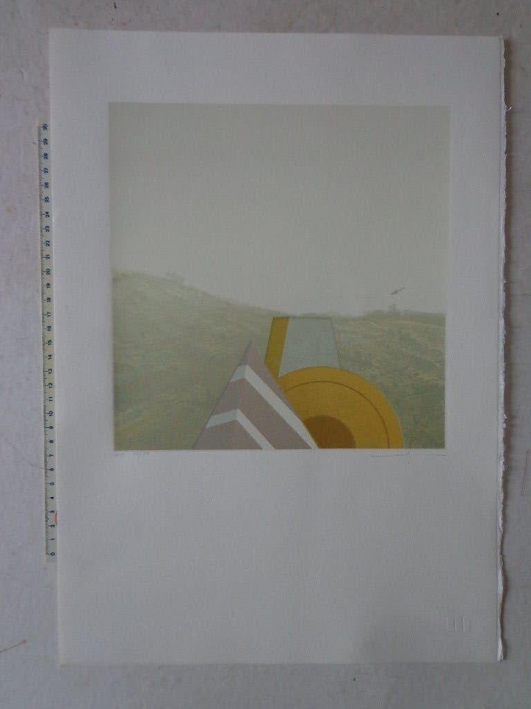 zeefdruk in kleur van Martin R. Baeyens "Abstract landschap", Gesigneerd, Ophalen of Verzenden, Abstract, Zeefdruk