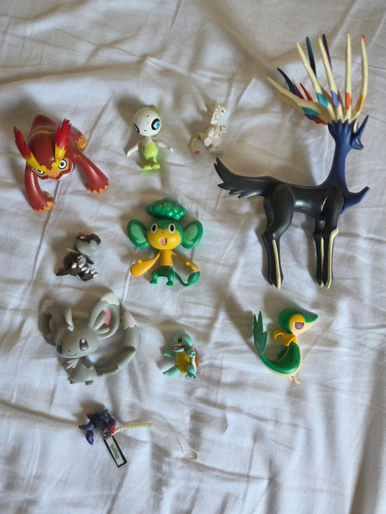animations pokemon ., Collections, Enlèvement