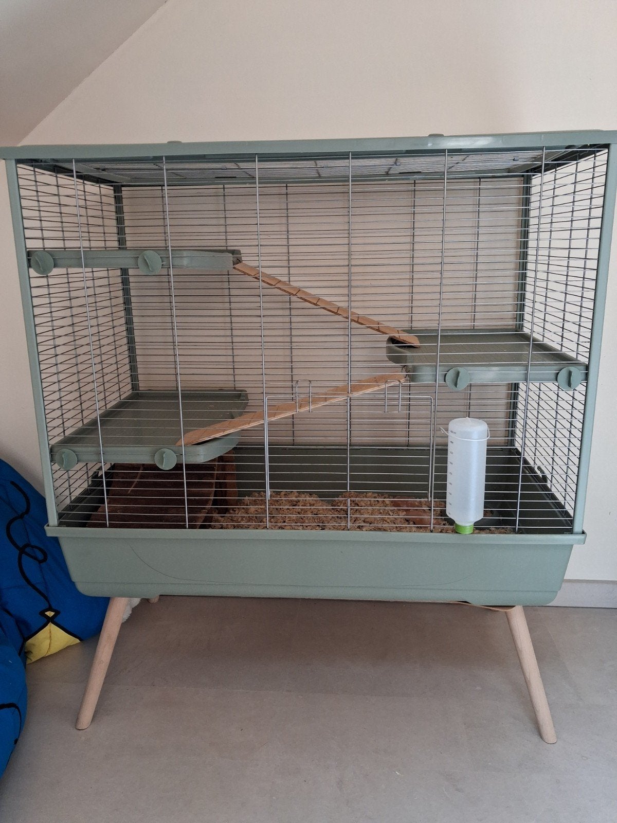 Kooi met 5 ratjes (mama en 4 baby's), Ophalen, Kooi