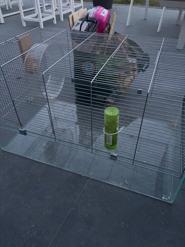 Hamsterkooi met veel toebehoren, Dieren en Toebehoren, Kooi, Gebruikt, Hamster, 75 tot 110 cm