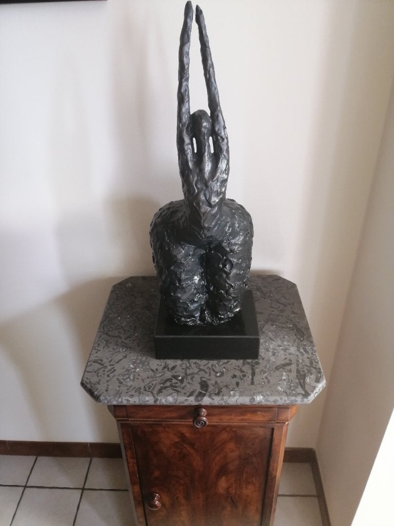 Zwart mooi beeld., Ophalen, Zwart, Kunststof, Zo goed als nieuw