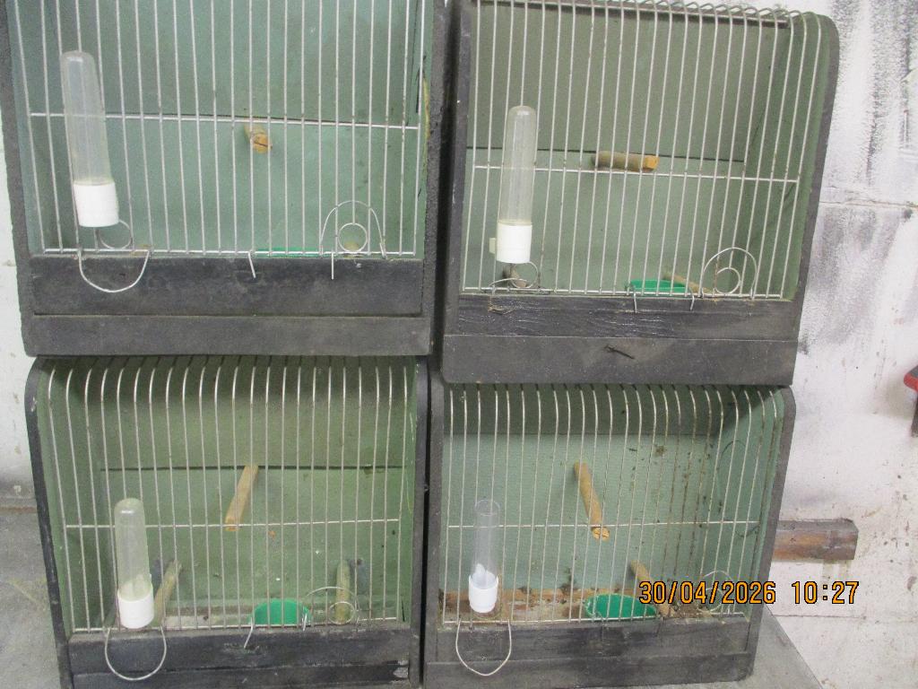 13 kooien samen    hout, Dieren en Toebehoren, Ophalen, Gebruikt, Hout