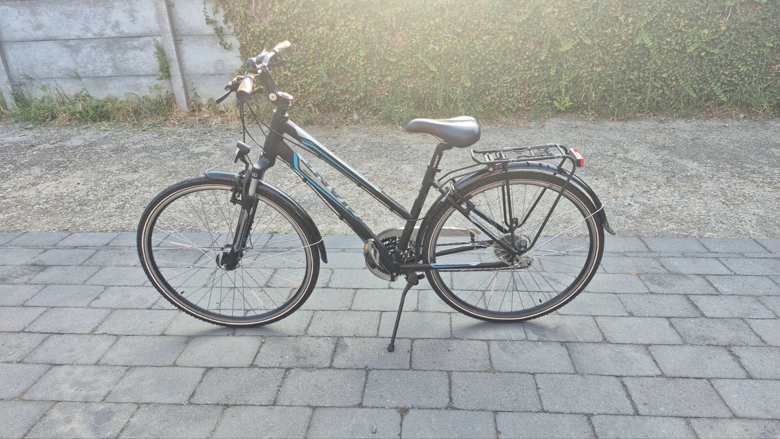 dames fiets, Ophalen, 28 inch, Velgrem, Giant