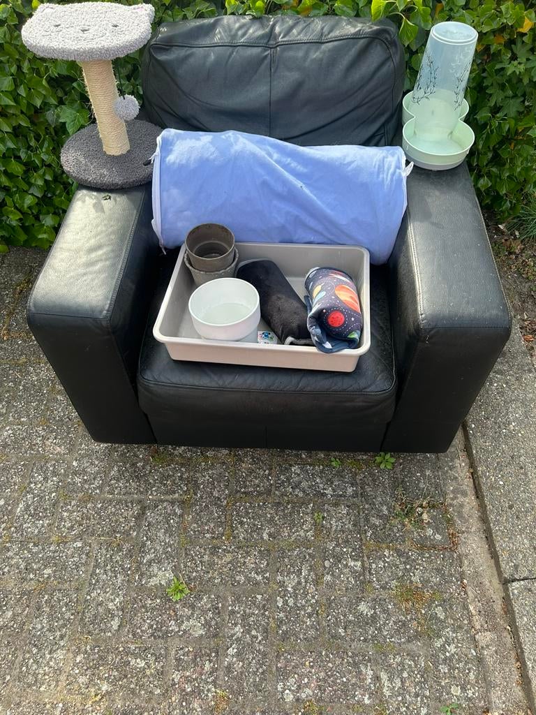 1zit, kattenkrabpaaltje,kattenbak voor kittens, voerbak,enz, Dieren en Toebehoren, Ophalen, Gebruikt