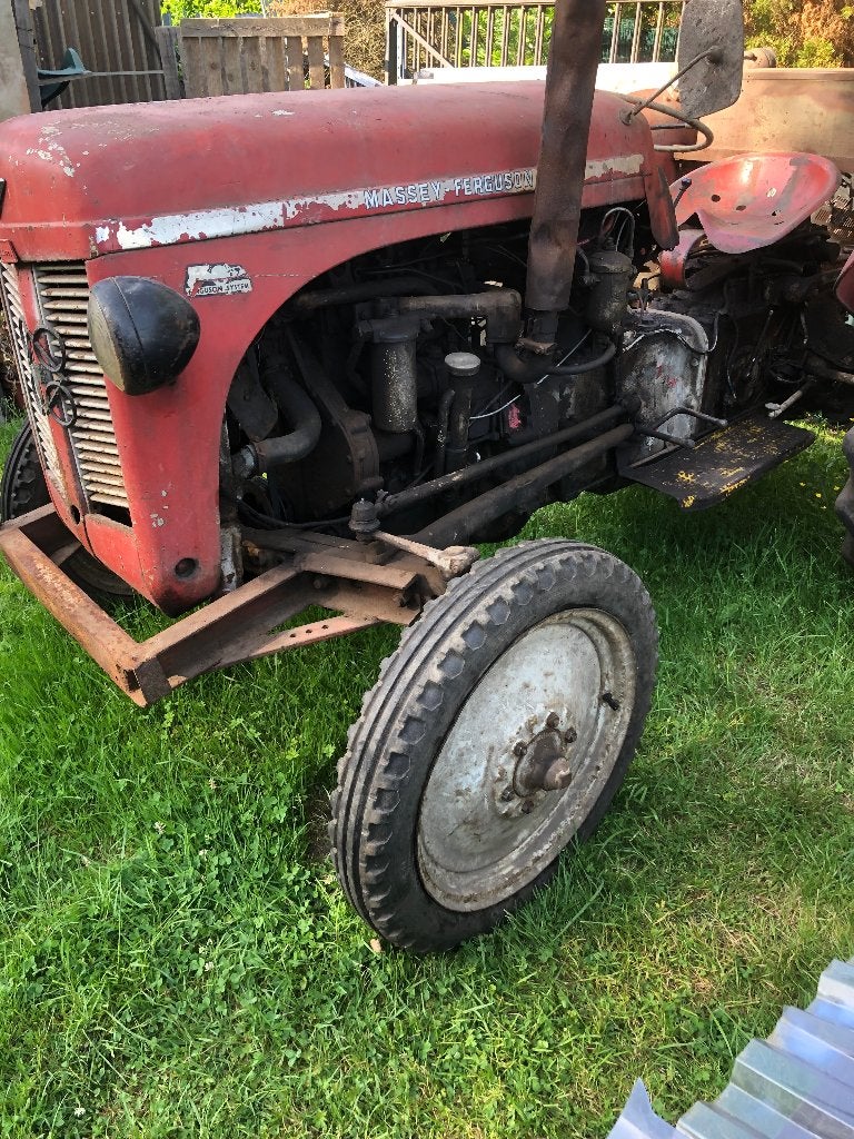 Massey Ferguson, Articles professionnels, Agriculture | Tracteurs, Enlèvement, Oldtimer/Ancêtre, Jusqu'à 80 ch, Massey Ferguson
