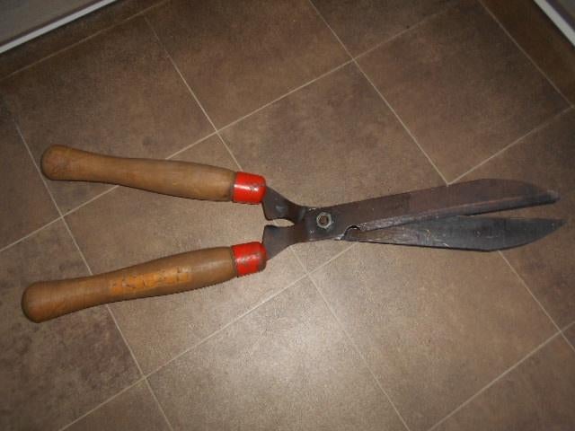 Oude snoeitang, Ophalen of Verzenden, Gebruikt