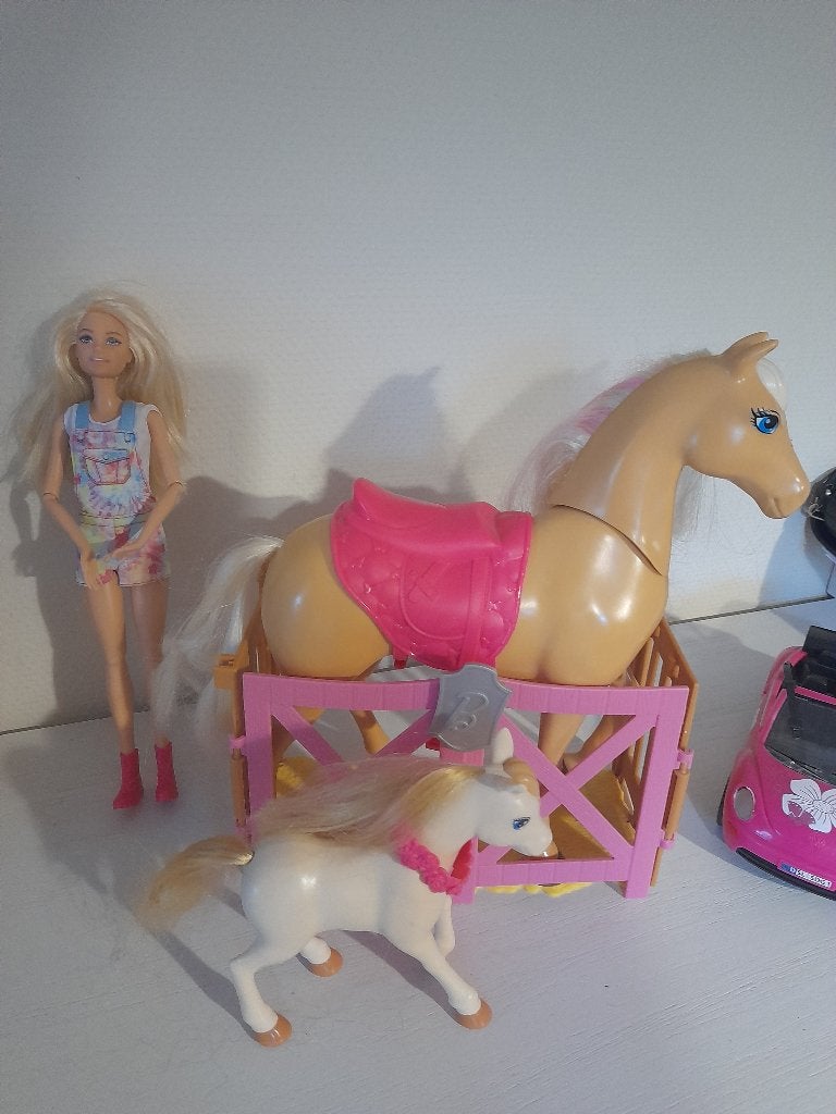 Barbie met paard en pony en auto, Enlèvement, Utilisé, Barbie