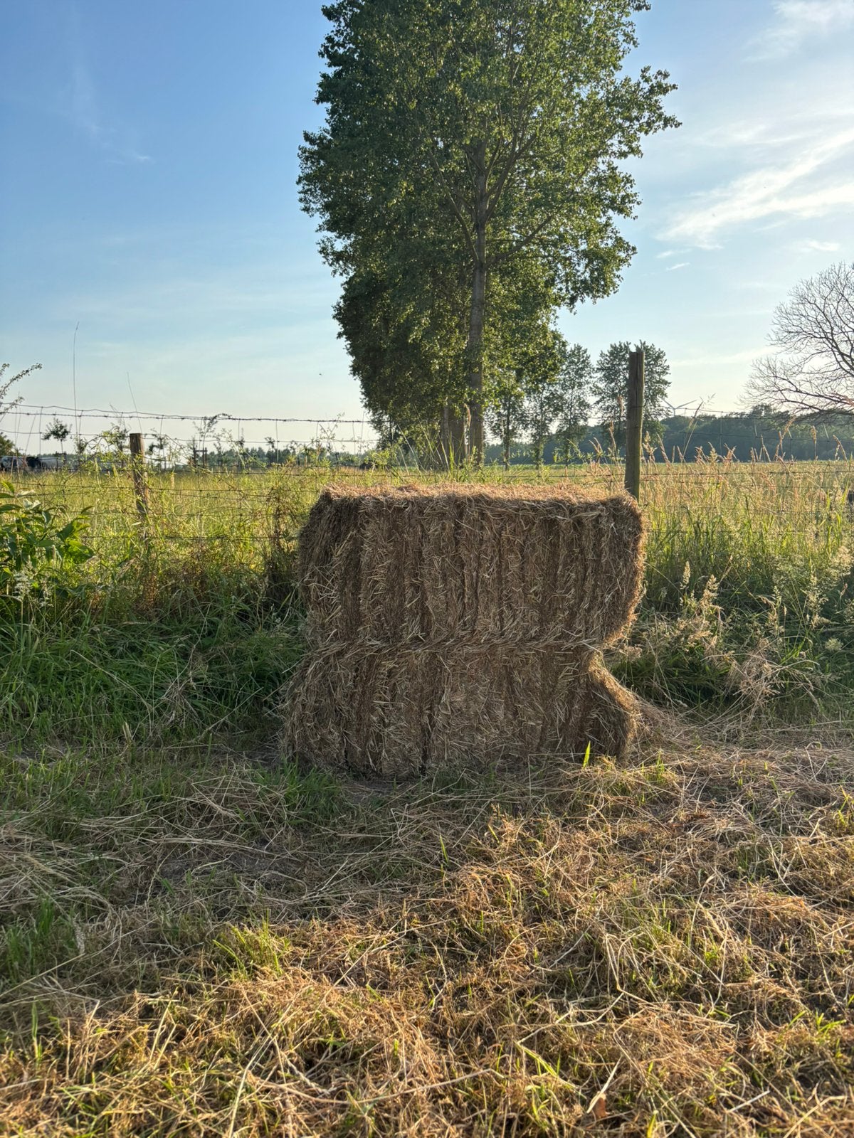 Hooi, kleine balen (geperst op 25 juni), Enlèvement
