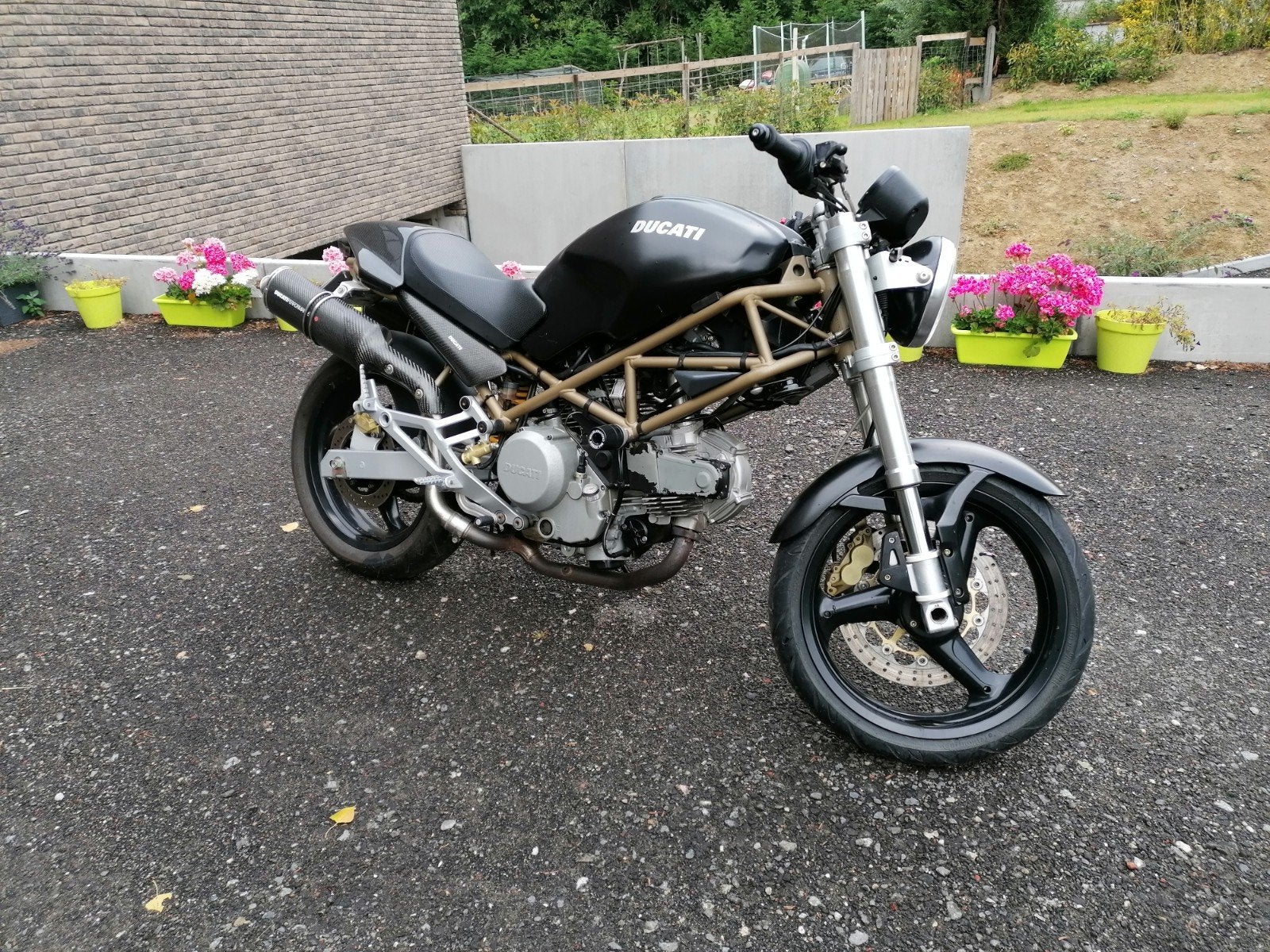 Ducati monster 600, Motoren, Motoren | Ducati, 2 cilinders, Sportuitlaat, Occasion, 583 cc