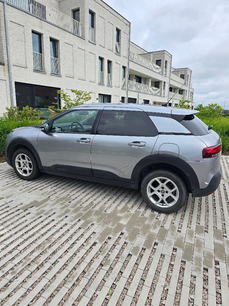 Citroën C4 Cactus - met nieuwe distributieriem, Euro 6, USB, Handgeschakeld, 5 deurs