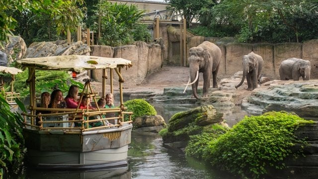 Wildlands Adventure Zoo Emmen 2026 - 1+1 GRATUIT, Tickets & Billets, Loisirs | Jardins zoologiques, Deux personnes, Ticket ou Carte d'accès