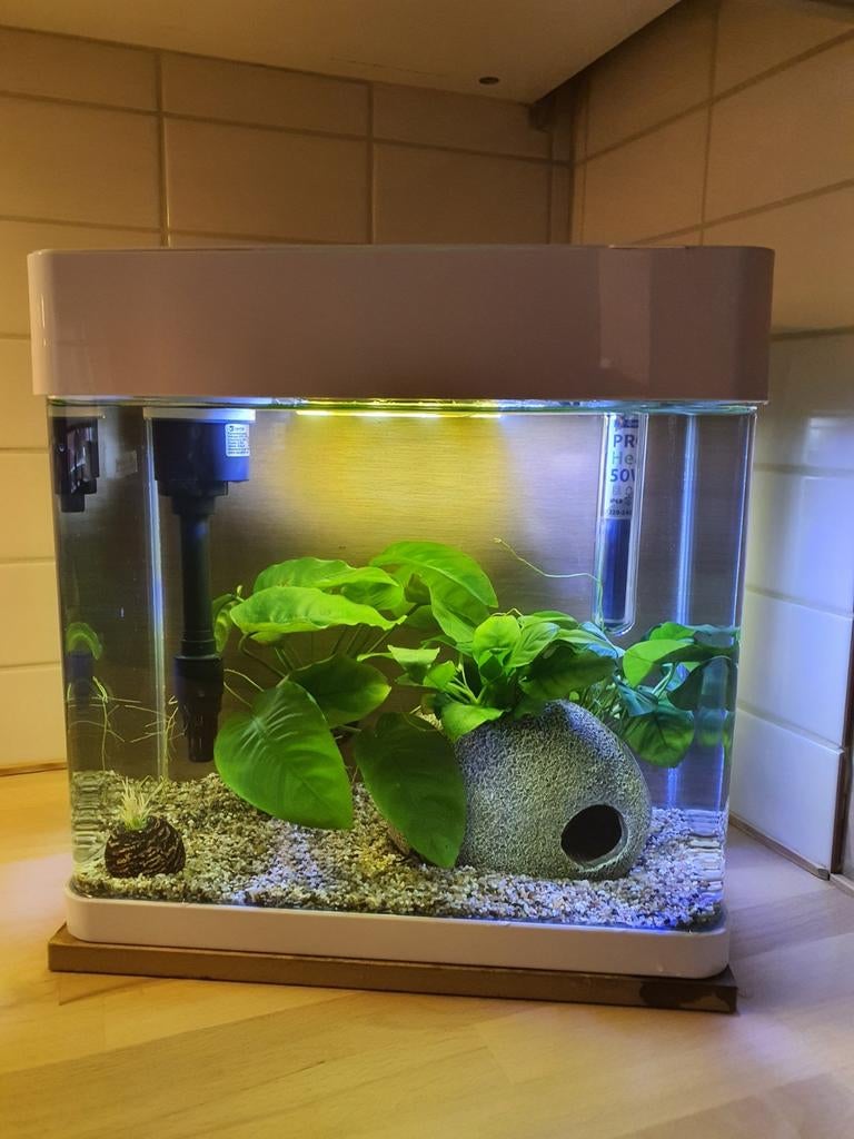 Superfish aquarium 17 liter, Dieren en Toebehoren, Ophalen of Verzenden, Zo goed als nieuw, Leeg aquarium, Verwarming