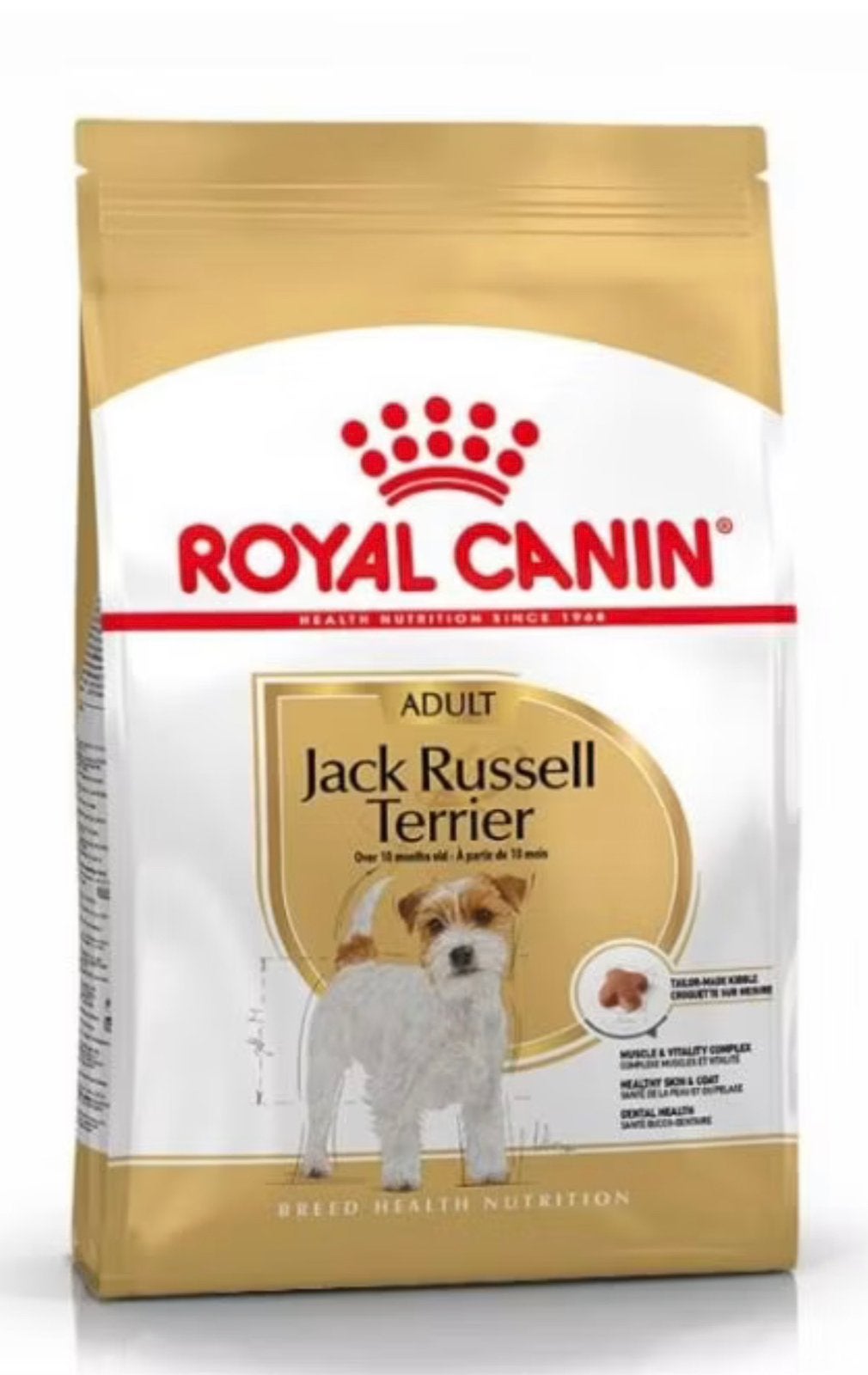 Royal canin jack Russel, Ophalen, Hond