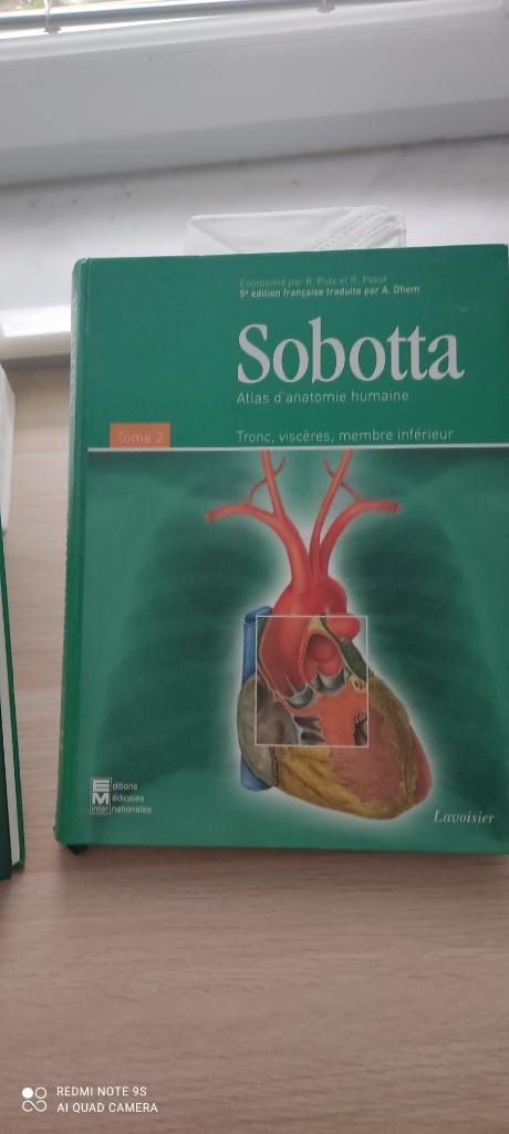 Sobotta - Atlas d'anatomie humaine TOME 2 - Lavoisier, Livres, Enlèvement ou Envoi, Comme neuf, Lavoisier