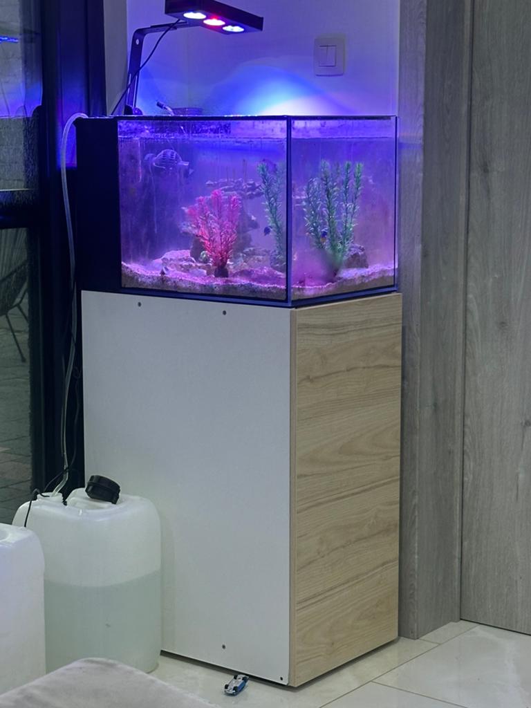 zee vis aquarium met kast, Dieren en Toebehoren, Ophalen, Inclusief vissen, Gebruikt, Aquariummeubel