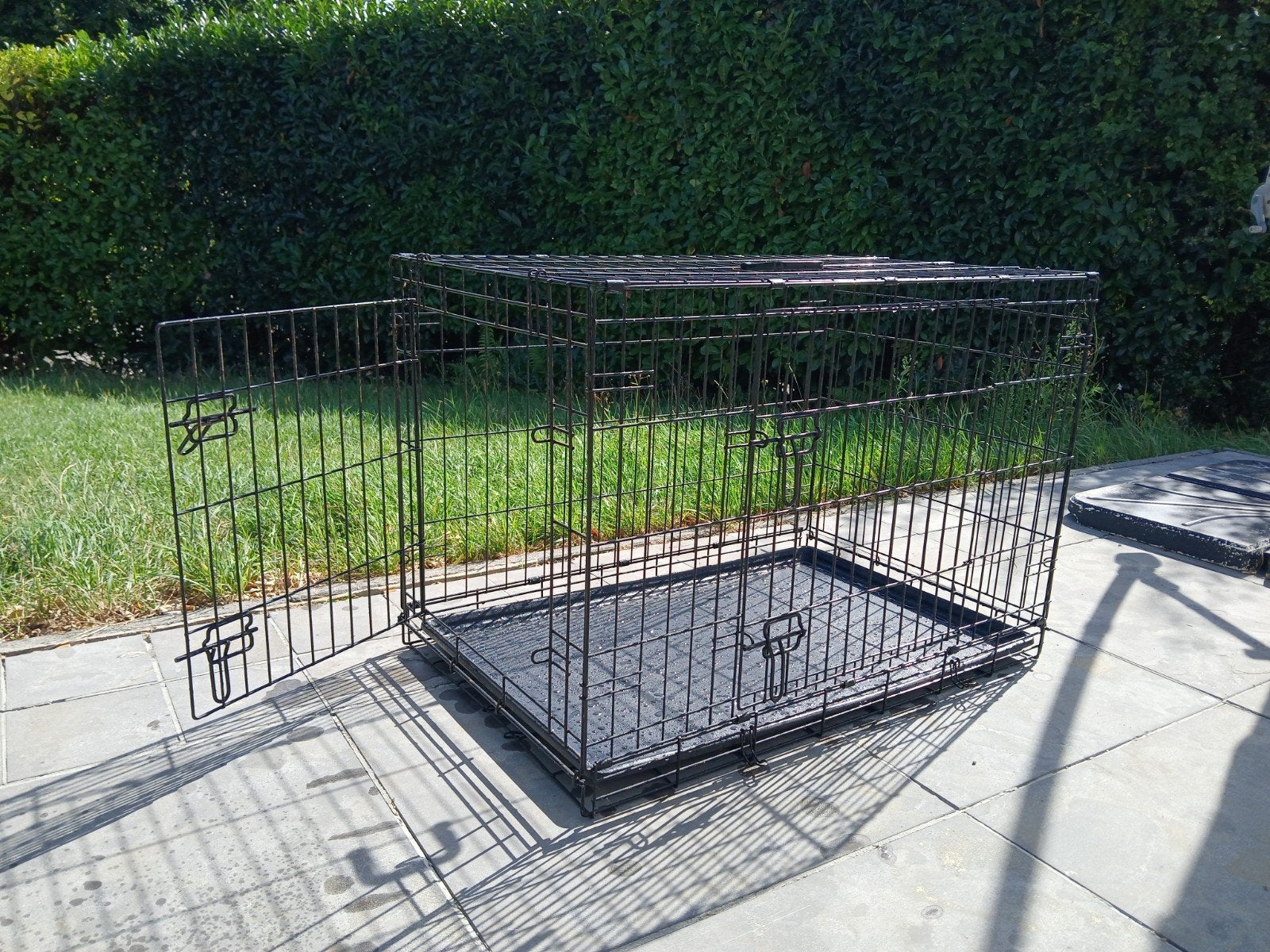 cage à chien, Enlèvement