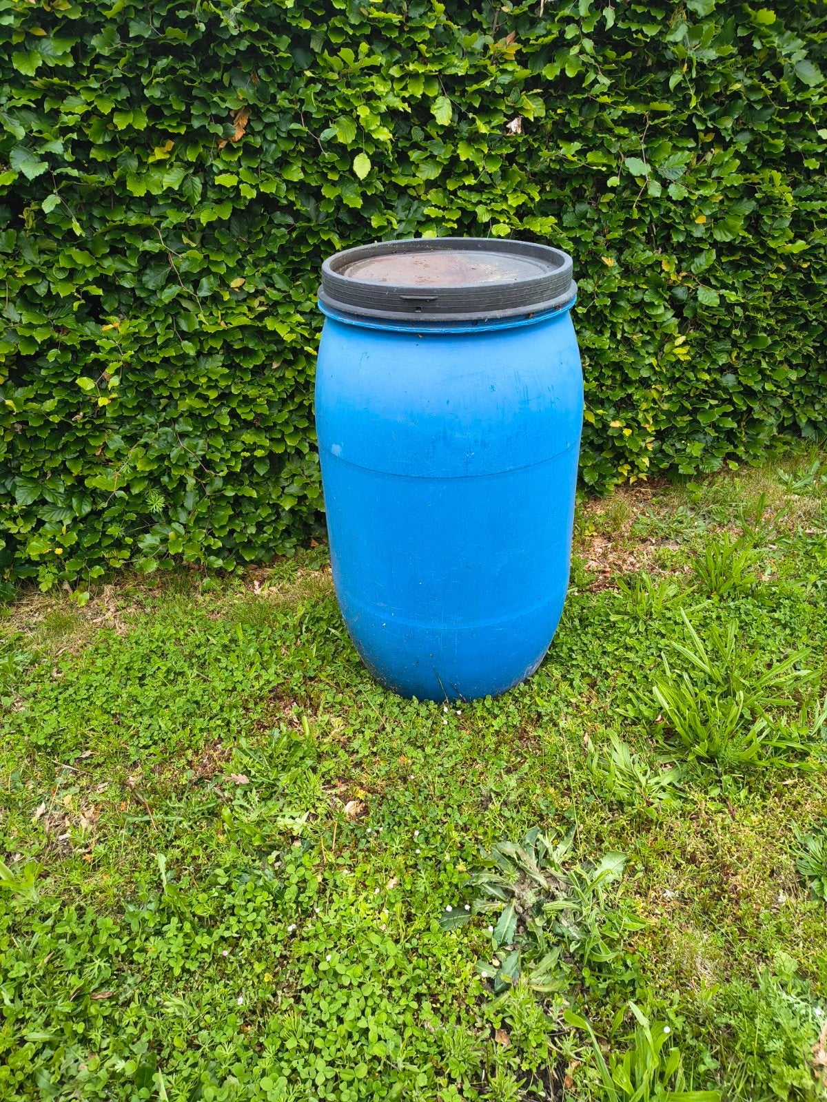 Regenwaterton, Tuin en Terras, Regentonnen, Ophalen, Gebruikt, Kunststof