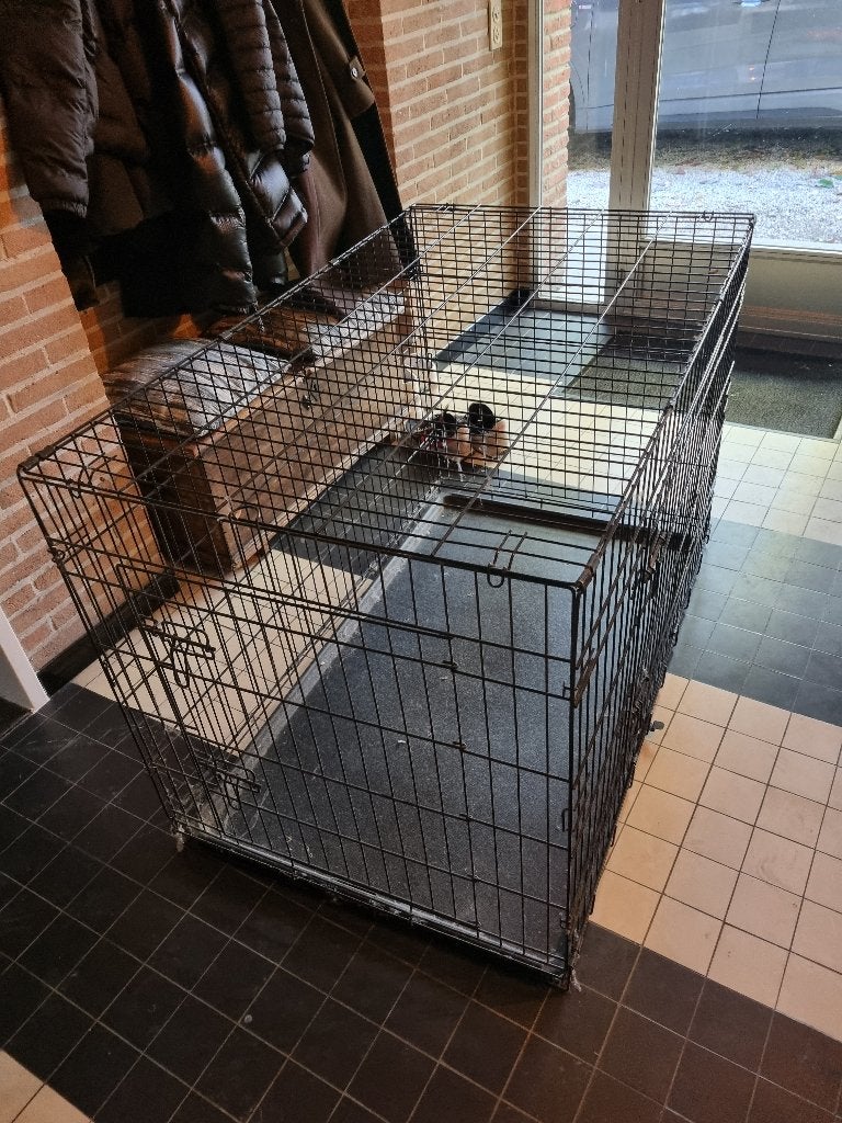 Hondenbench, Enlèvement, Utilisé
