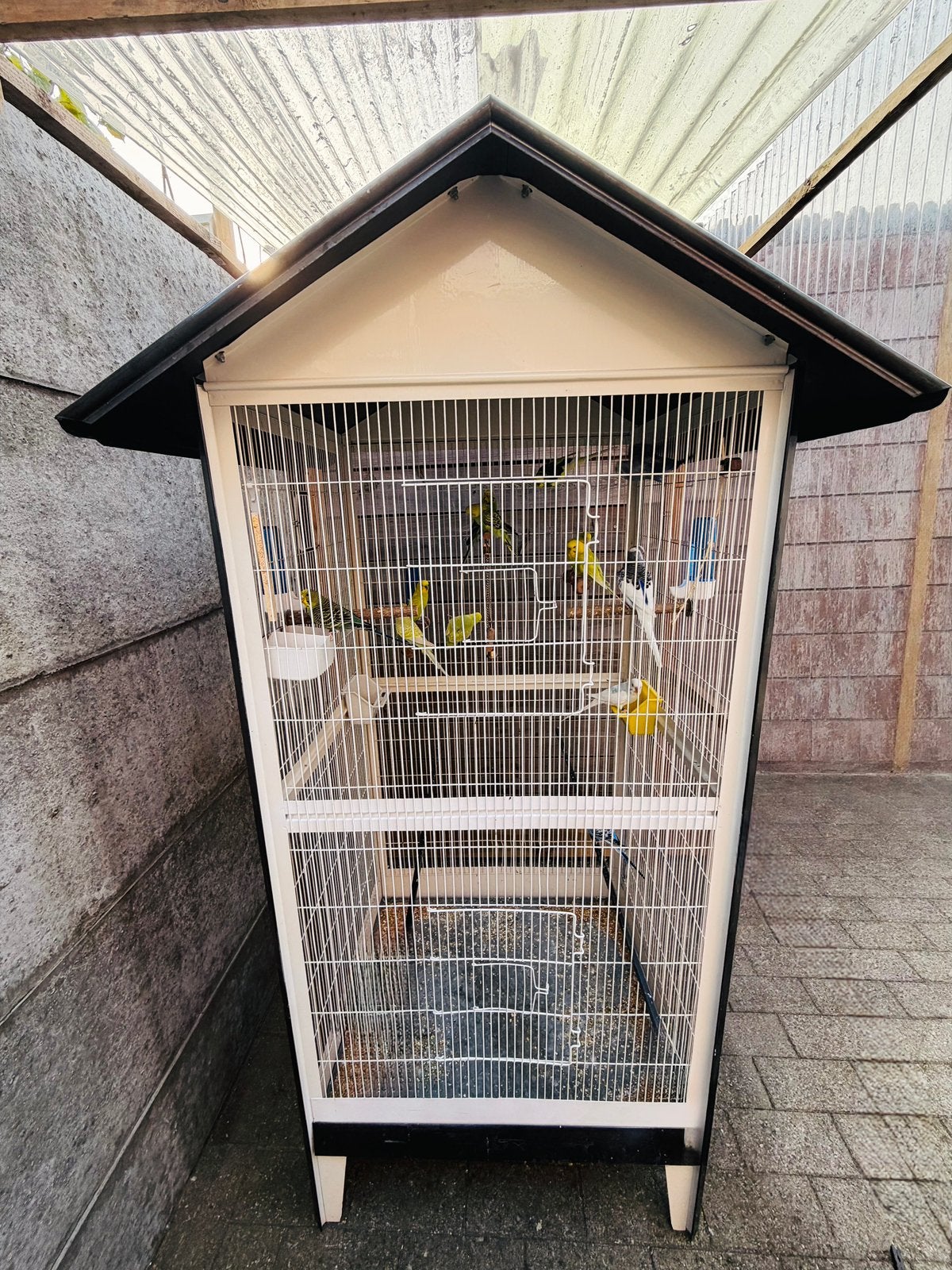 Vogel Volière, Dieren en Toebehoren, Ophalen, Zo goed als nieuw, Volière