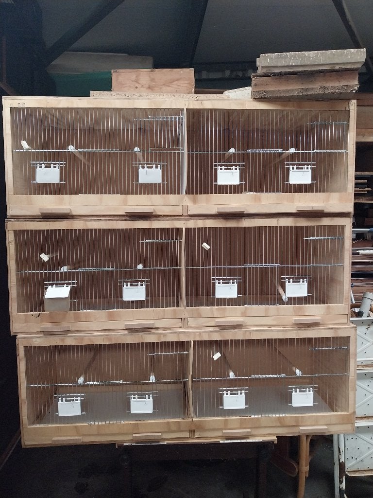 Vogel kweekbak, Ophalen, Nieuw, Hout, Broedkooi of Kweekkooi