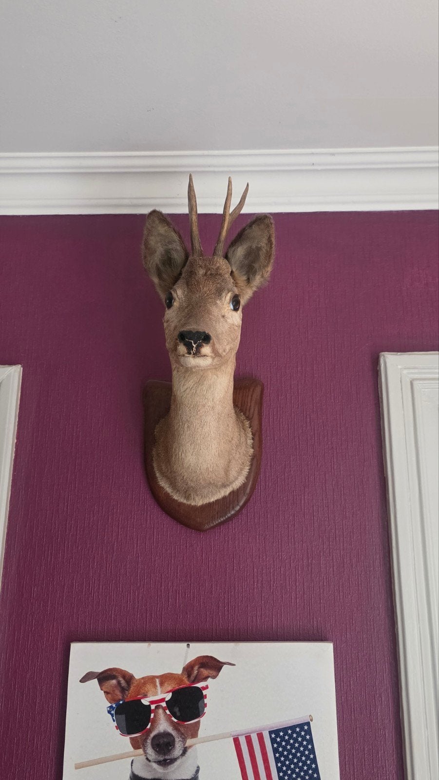 pieces unique pour amateur de chasse, Enlèvement