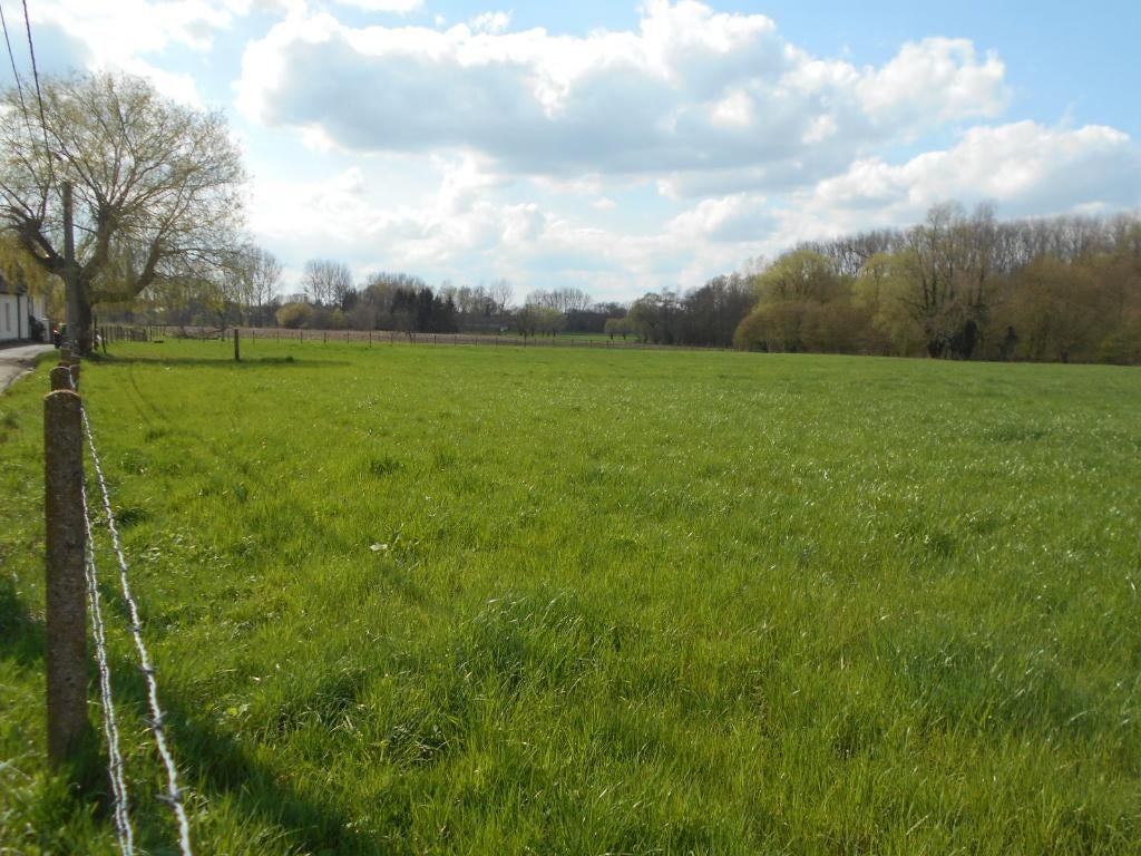 Weide / Landbouwgrond te koop, Immo, 1500 m² ou plus