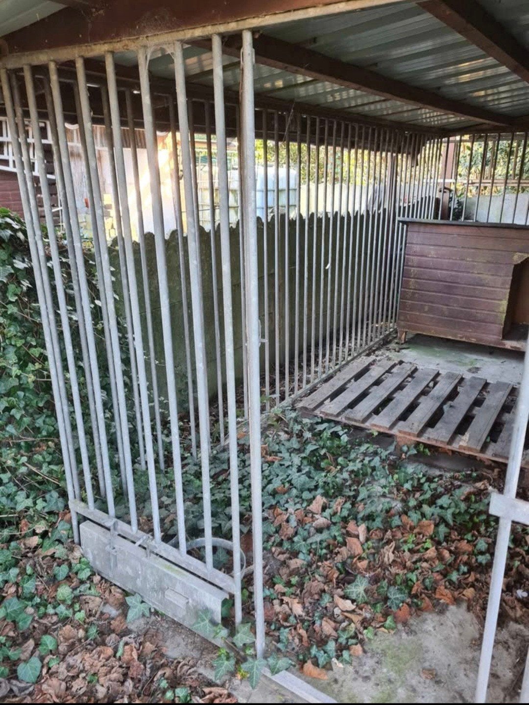 Niche pour chien en fer avec cage, Enlèvement, Utilisé, Niche à chien