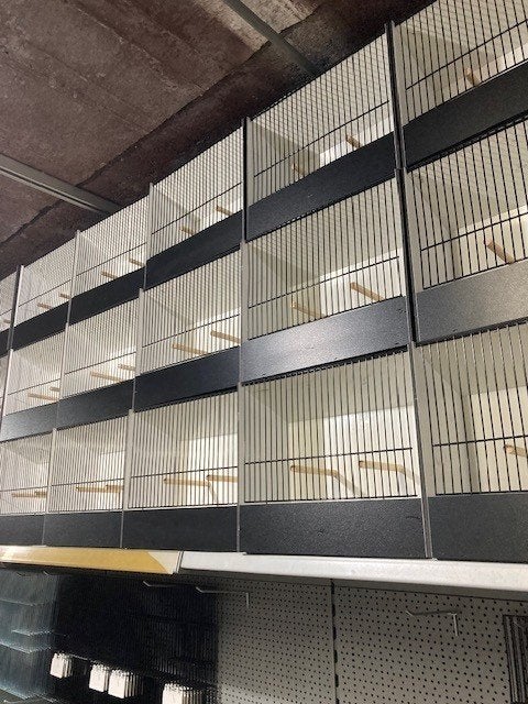 Promo PVC TT kooien 10+1 gratis, Dieren en Toebehoren, Ophalen, Nieuw, Kunststof, Vogelkooi