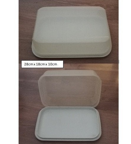 Boite Tupperware 10€, 28cm*18cm*10cm, Maison & Meubles, Cuisine| Tupperware, Enlèvement, Comme neuf, Blanc