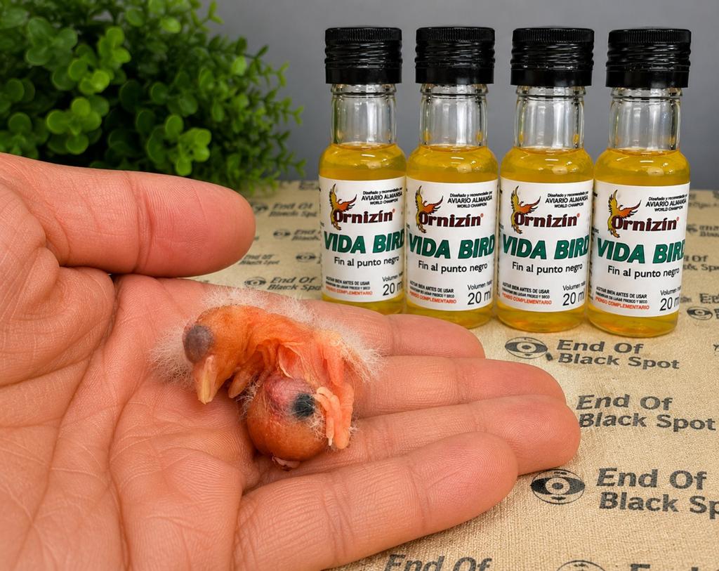 VIDABIRD 20 ml Ornizìn « Fin des taches noires » ⚫️🌱, Animaux & Accessoires, Enlèvement
