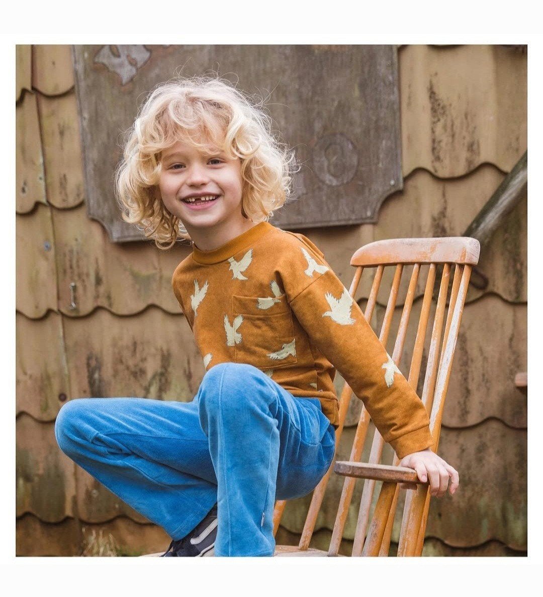 sweater Ba*ba label 152, Gebruikt, Jongen of Meisje, Trui of Vest, Ophalen of Verzenden