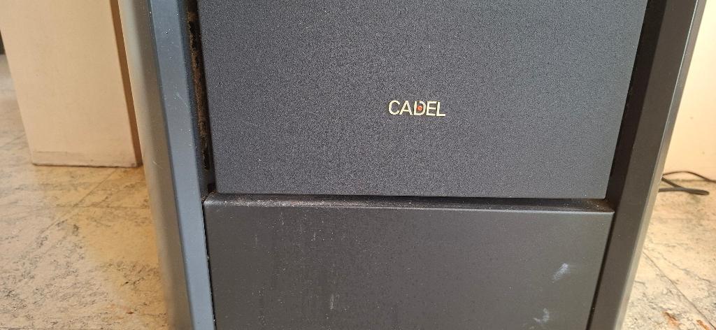 Palletkachel cadel 12kw, Huis en Inrichting, Kachels, Ophalen, Zo goed als nieuw, Vrijstaand, Pelletkachel