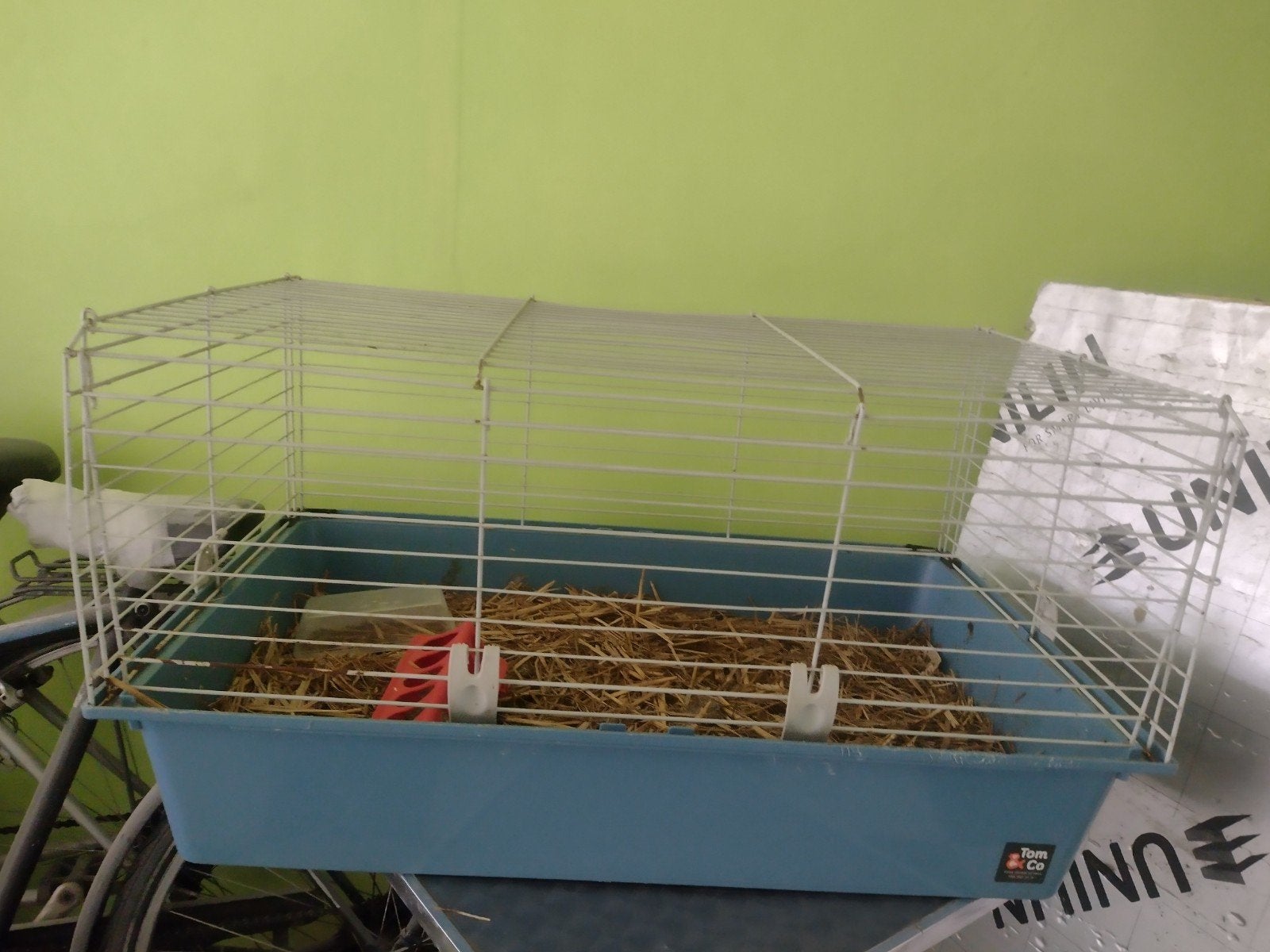cage pour rongeurs, Enlèvement, Cage