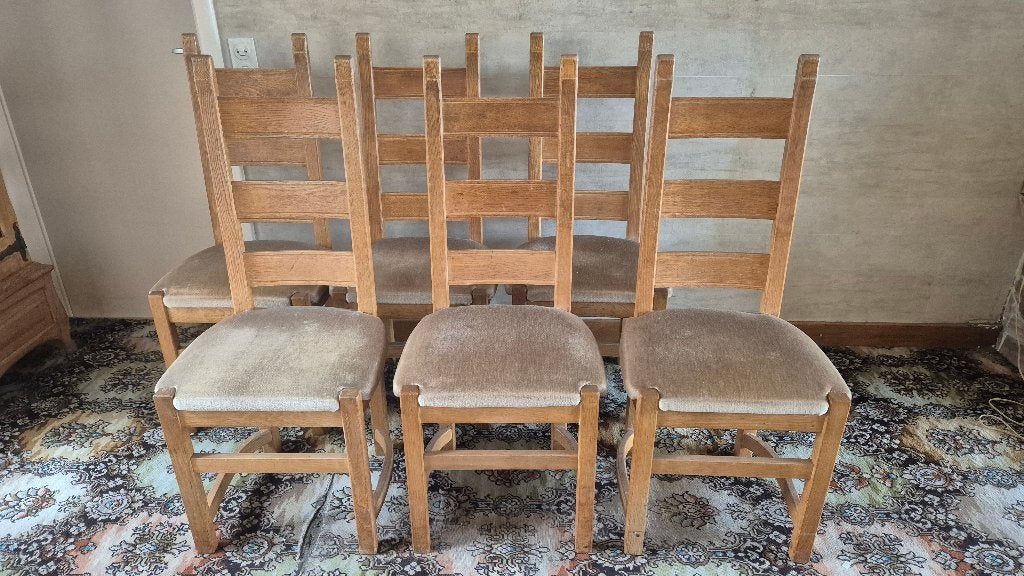 Eiken stoelen, fluweel bekleed, 6 stuks, Ophalen, Hout, Gebruikt, Bruin