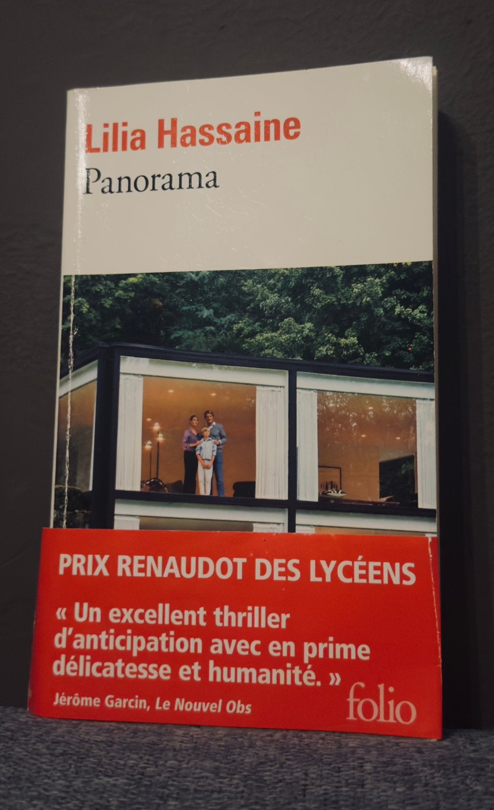 Roman: Panorama van Lilia Hassaine, Boeken, Ophalen of Verzenden, Zo goed als nieuw