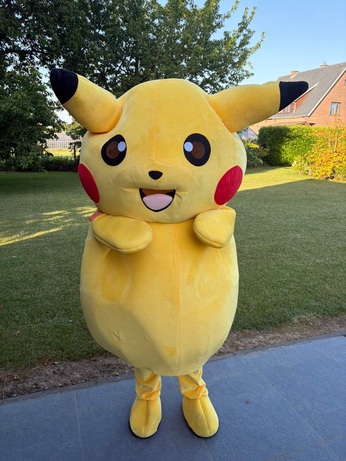 Déguisement Pockemon, Hobby & Loisirs créatifs, Articles de fête | Location, Enlèvement, Comme neuf