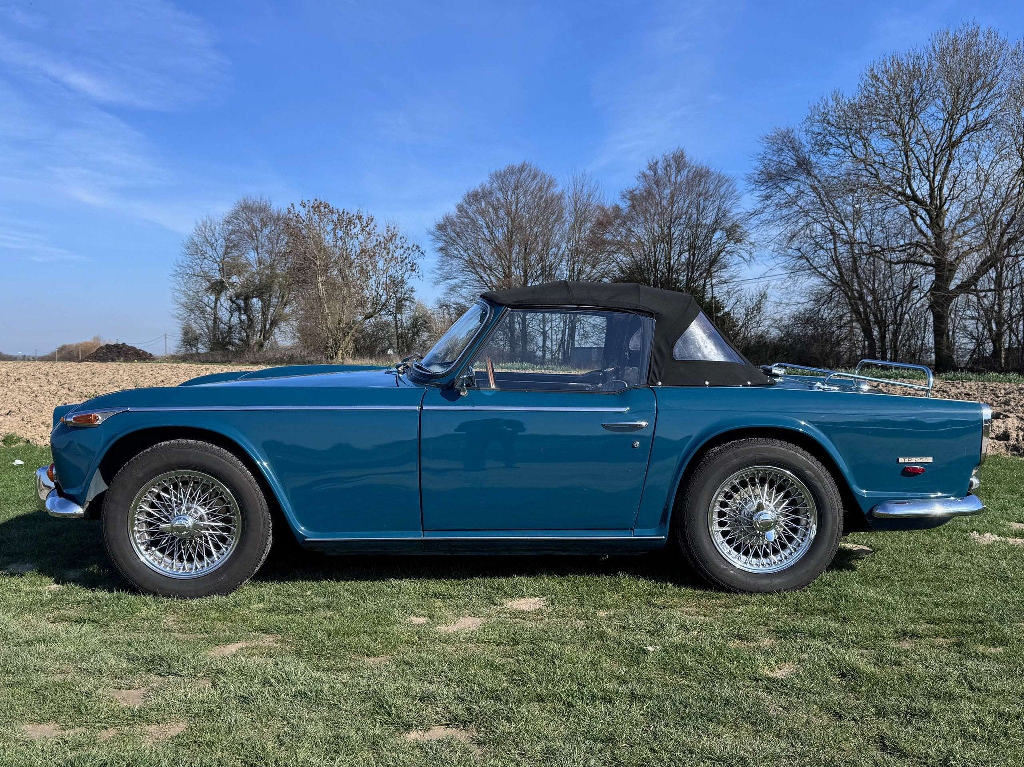 Triumph TR5, Autos, Cuir, Achat, Entreprise, Boîte manuelle