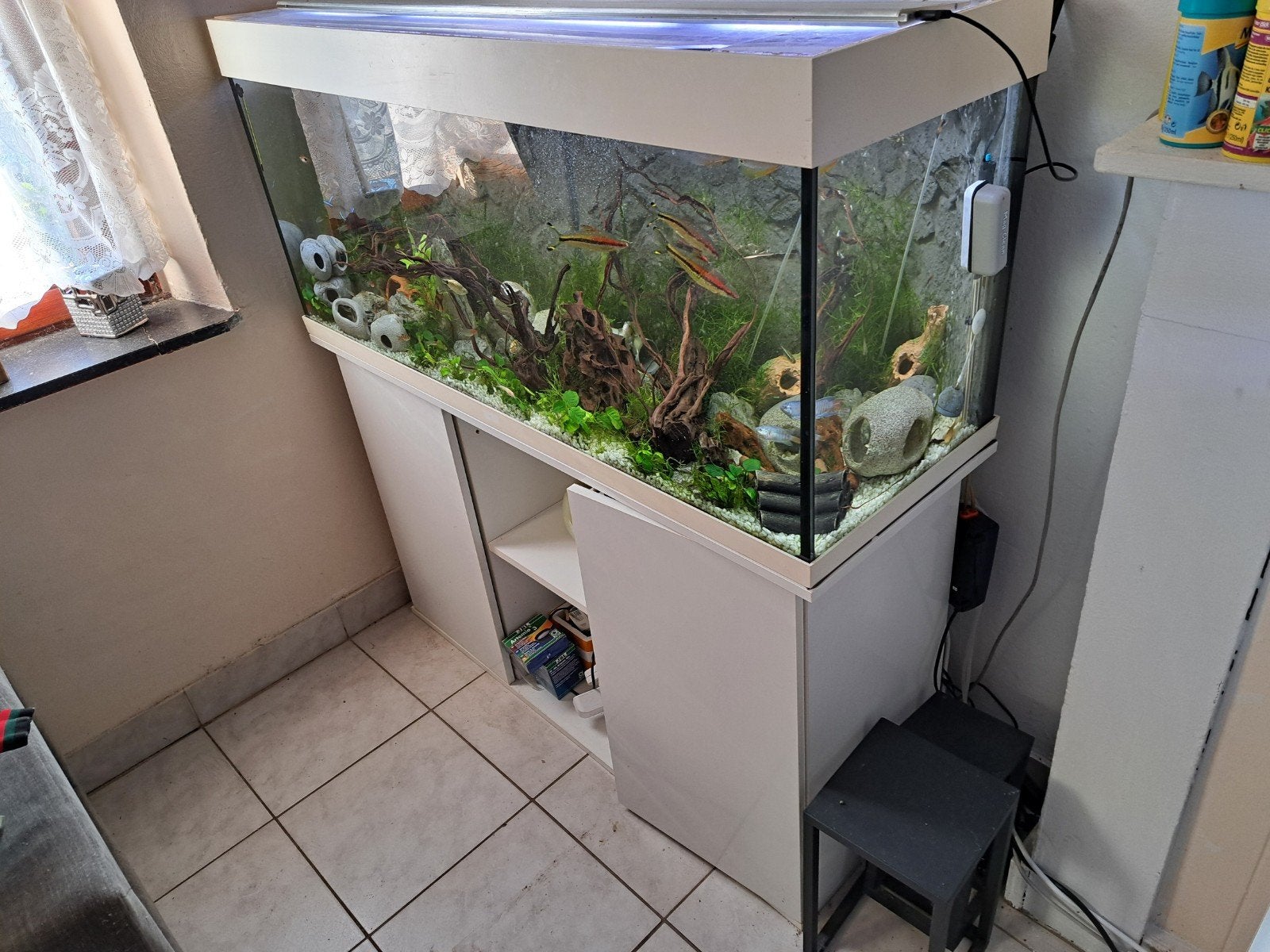 aquarium exotique full complet 120/43/128, Ophalen, Pomp, Superfish, Gevuld zoetwateraquarium