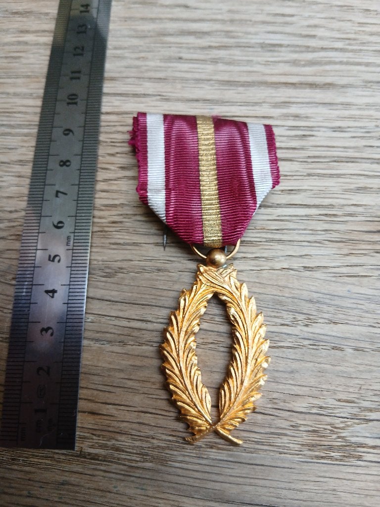 Medaille palme dor de l'ordre de la couronne avec rayure, Envoi, Armée de terre, Ruban, Médaille ou Ailes