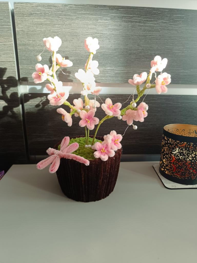 Sakura takjes, Enlèvement ou Envoi