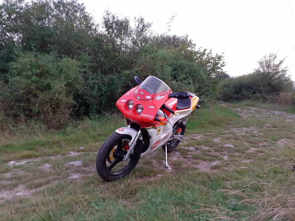 cagiva prima 1992, Occasion, Overig, Handgeschakeld, 1 cilinder