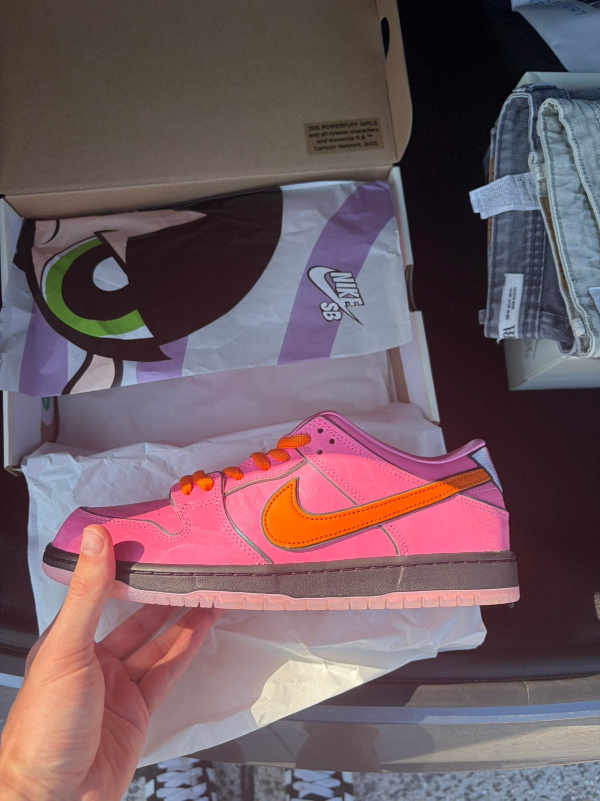 Nike SB Dunk Low Pro