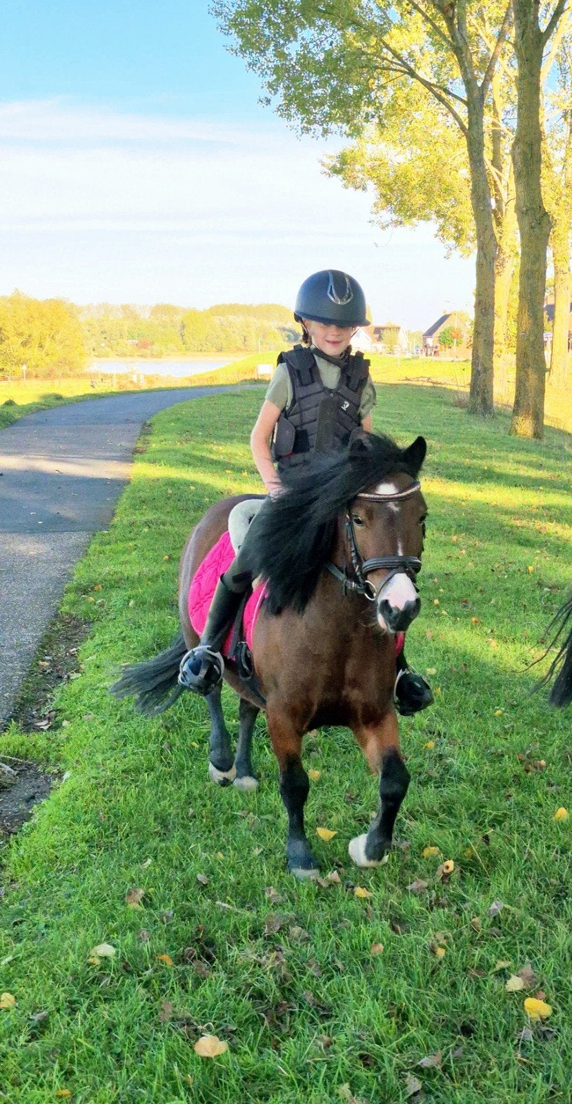 Knappe gereden A pony!, Dieren en Toebehoren, Merrie, A pony (tot 1.17m), Gechipt, 3 tot 6 jaar