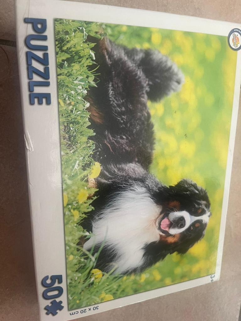 Puzzle pour chien, Enlèvement ou Envoi, 10 à 50 pièces, Utilisé