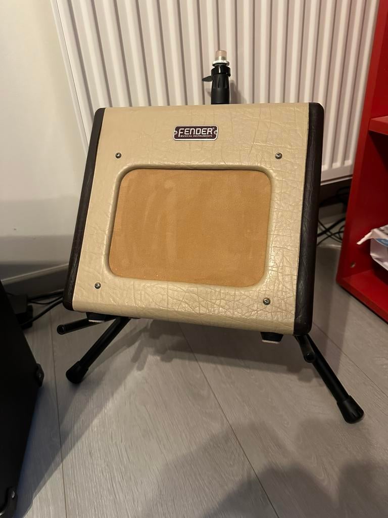 Fender champion 600, Enlèvement, Utilisé